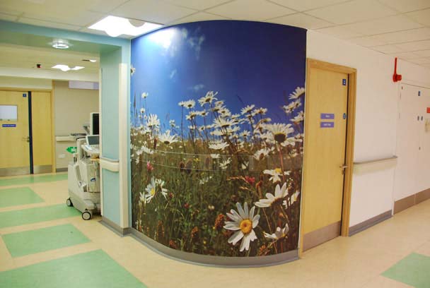 Slideshow Image 2