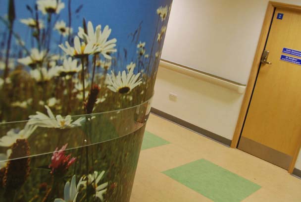 Slideshow Image 4