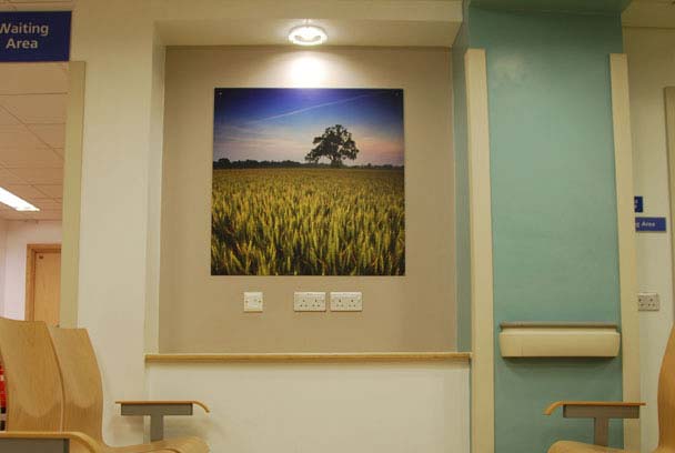 Slideshow Image 5
