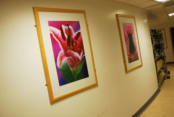 Slideshow Image 6