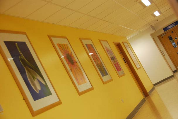 Slideshow Image 7