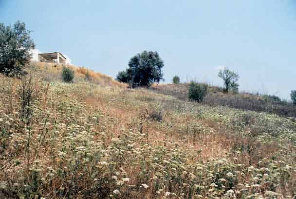 Slideshow Image 1
